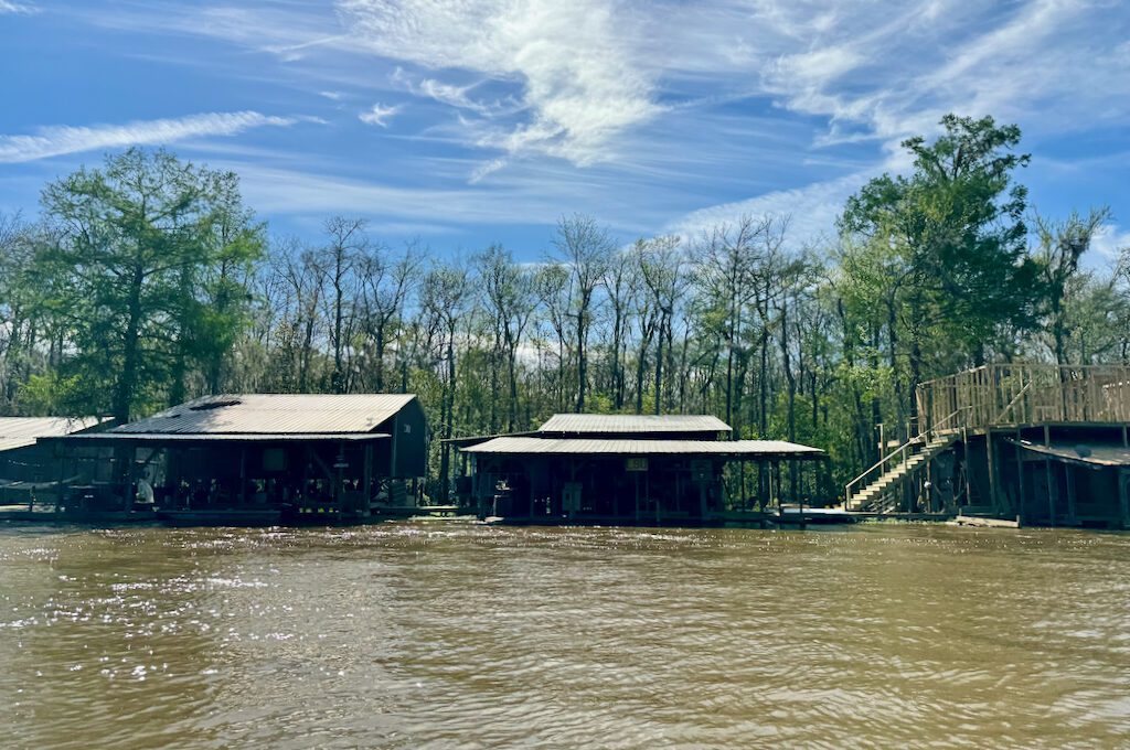 Honey Island Swamp Tour river homes