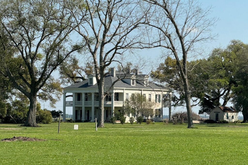 Felicity Plantation