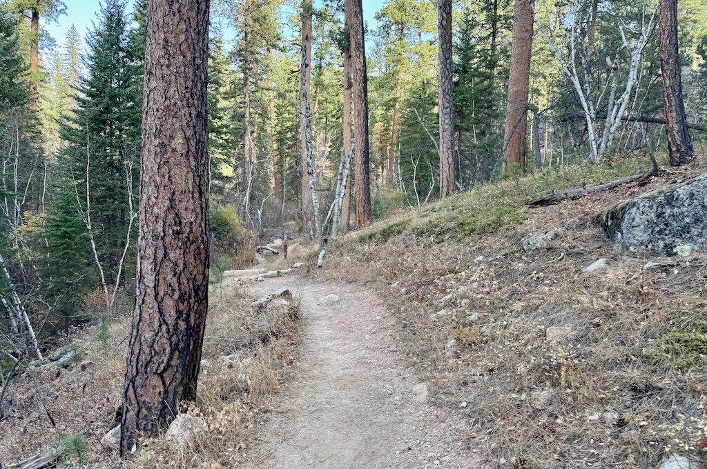 Blackberry and Centennial Trail,