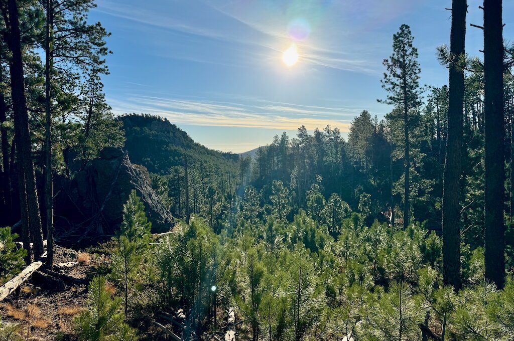 Blackberry and Centennial Trail view