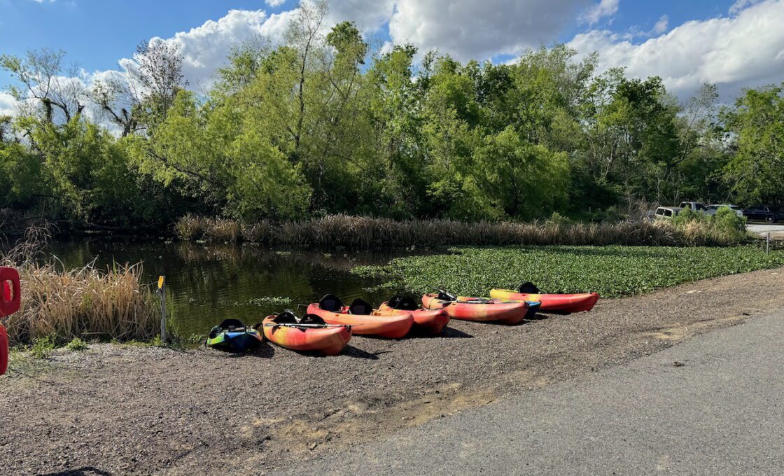 Manchac Swamp Wildlife Kayaks