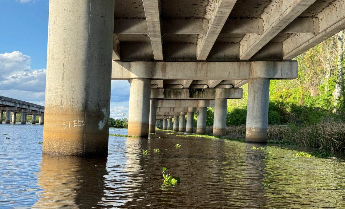 Manchac Swamp Wildlife Kayak Tour under bridge