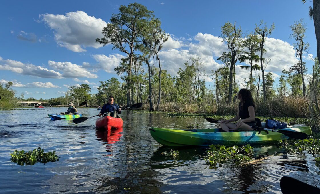 Manchac Swamp Wildlife Kayak Tour