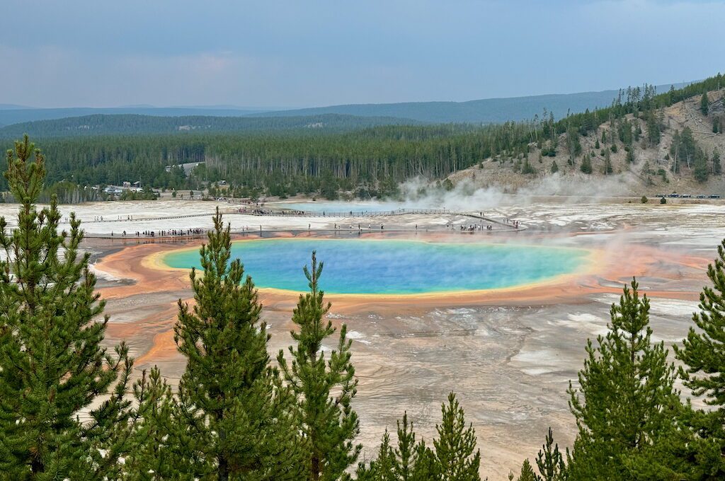 Grand Prismatic Spring from overlook