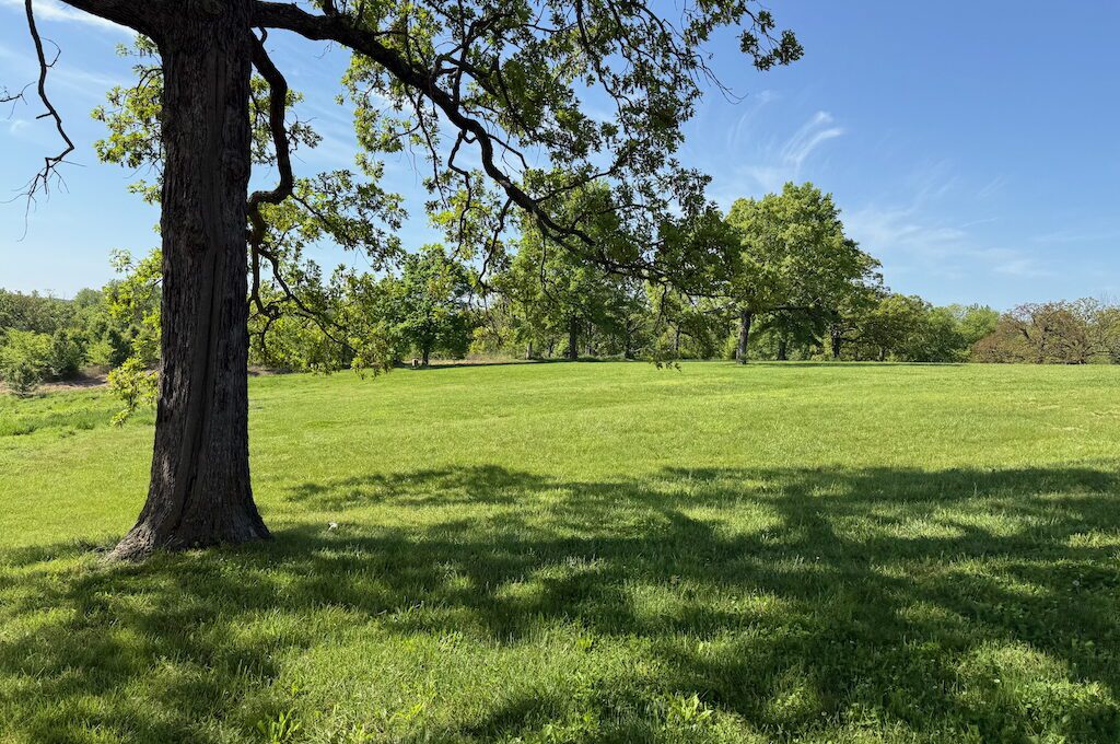 Oregon trail swales at minor park