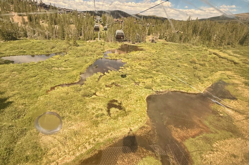 View from Gondola