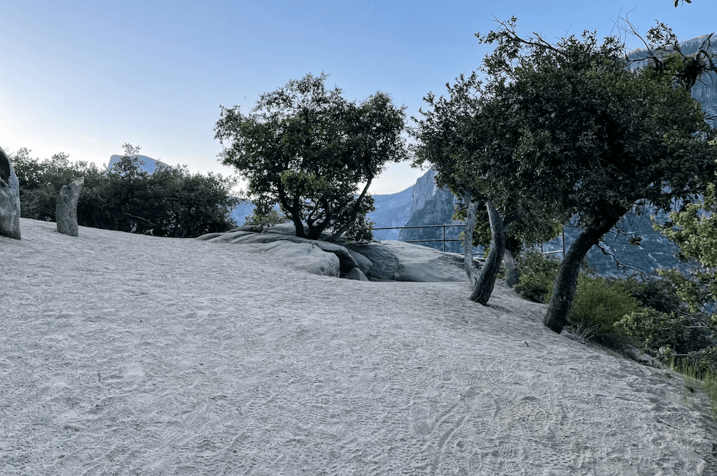 Dirt area with trees