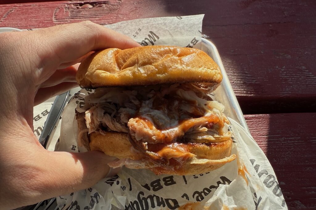 Barbecue sandwich with sauce