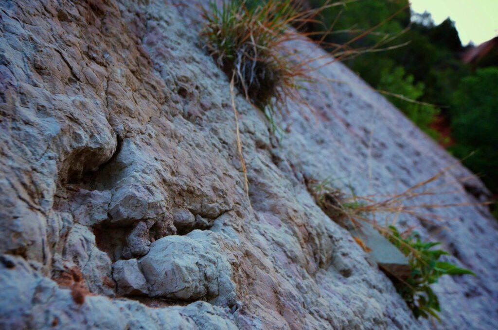 Dinosaur print along the subway trail