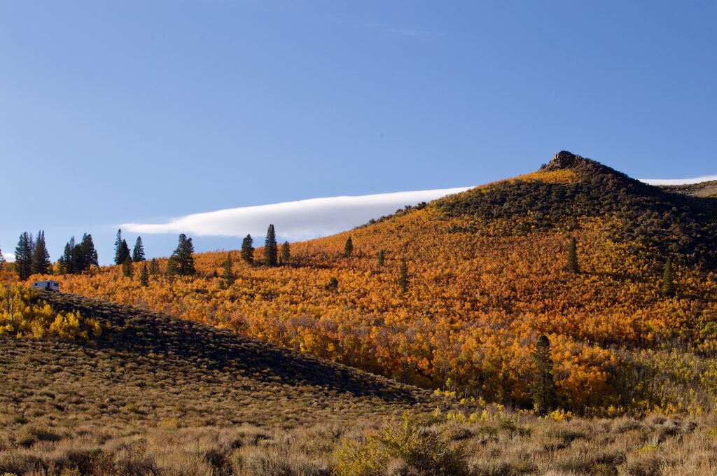 Sagehen Summit fall colors