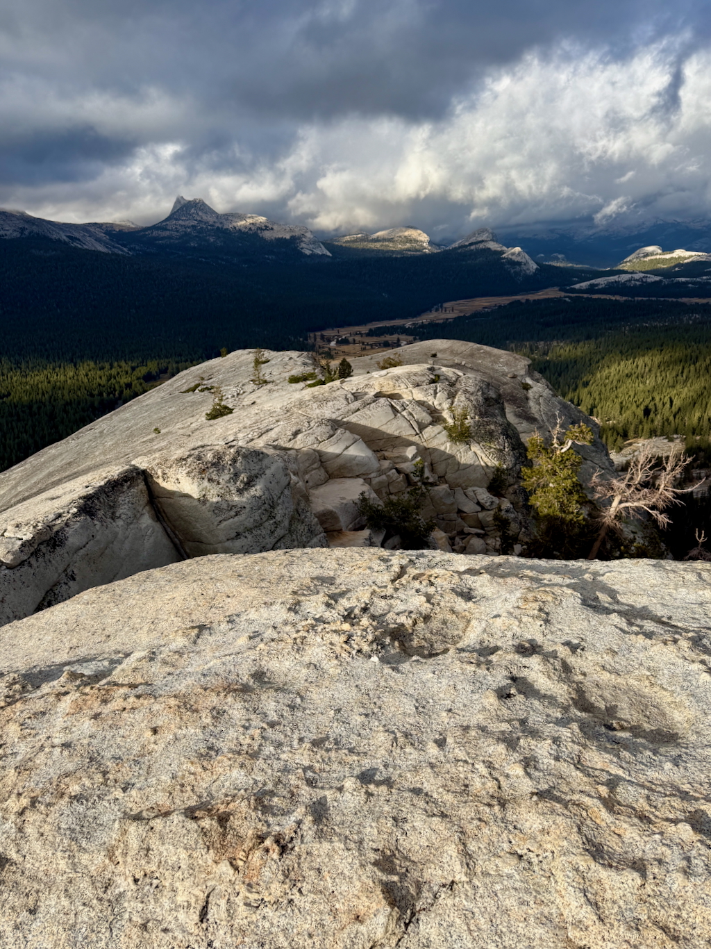 Rocky mountain surrounded by forest