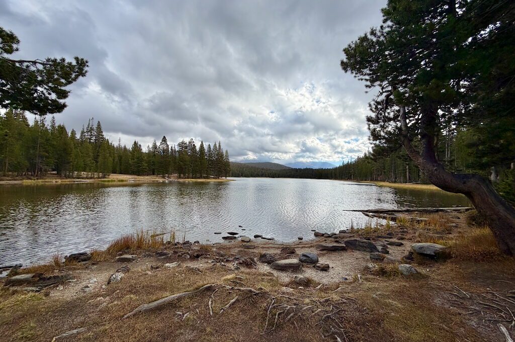 Shores of lake surrounded by trees