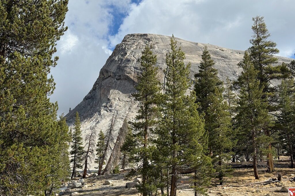 Stone mountain in distance with trees surrounding