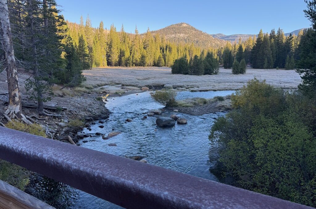 meadow and river at devils postpile 