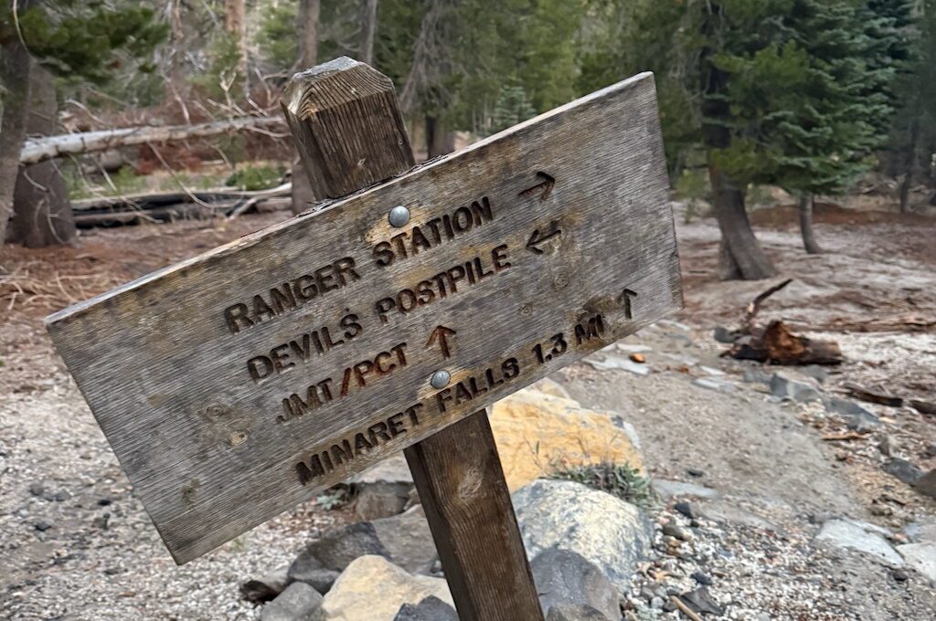 road going through tall trees